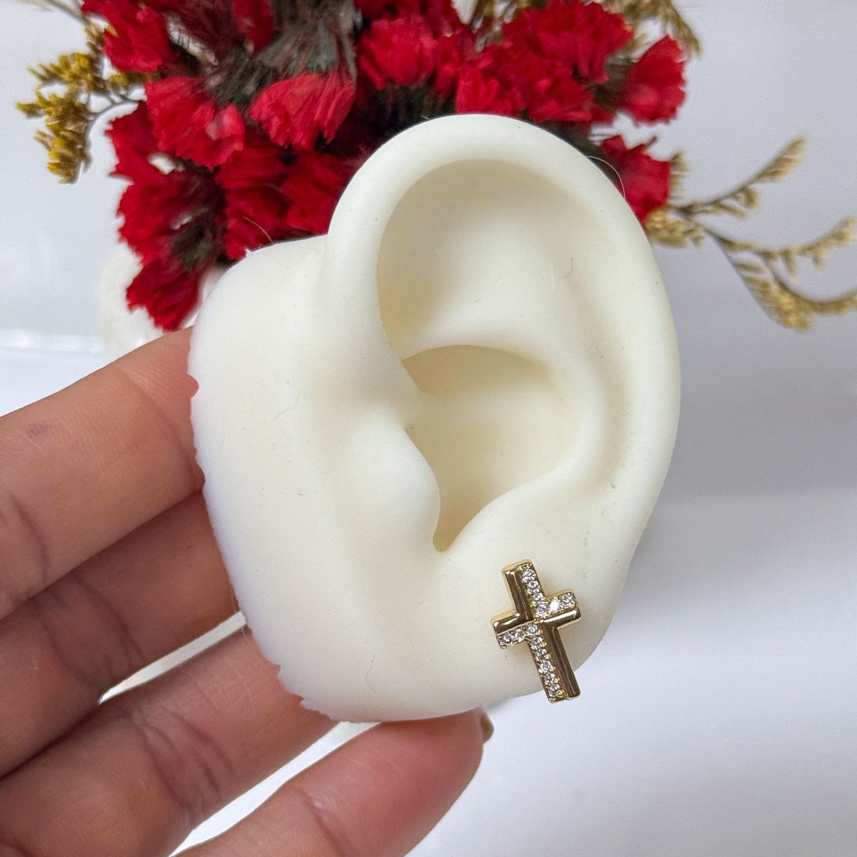 ARETES CRUZ CIRCON