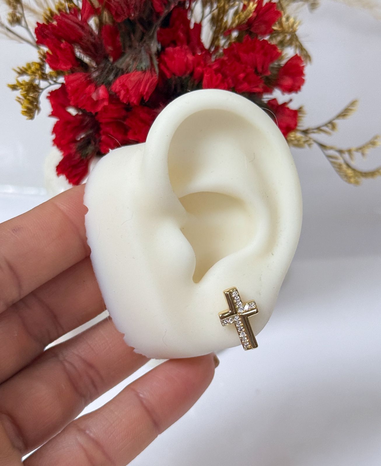 ARETES CRUZ CIRCON
